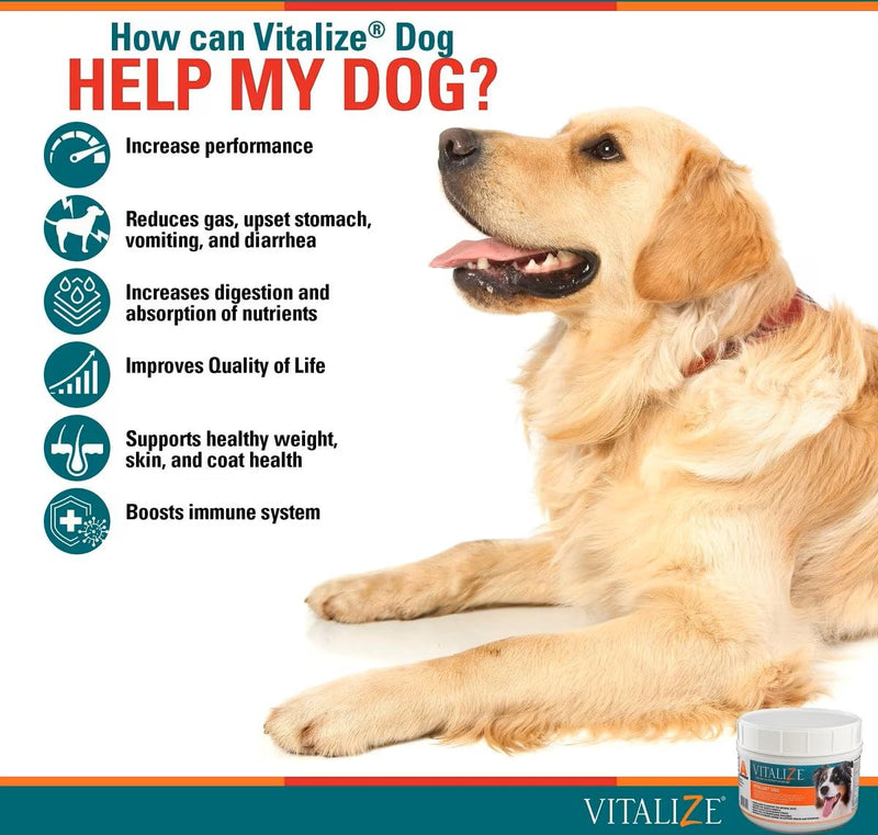 Vitalize Dog Digestive Health Powder - Relief for Constipation, Vomiting & Nausea, Skin & Coat Supplement- Multivitamin Powder with Omega 6, 3 & Biotin & Dog Prenatal Supplement (1 Pound) - PawsPlanet Australia