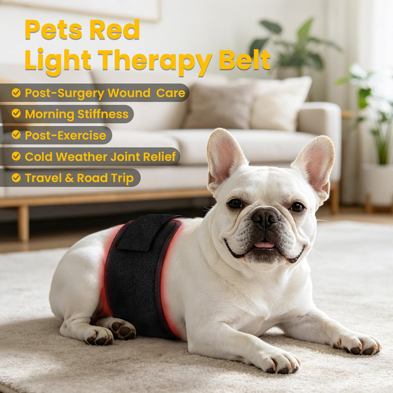 Red Light Therapy for Dogs: Wearable Red Light Belt for Dogs Back Hip Waist 12.8×6.8in 660/850nm 80 Led Pad Infrared Device for Pets Pain Relief 1 Pack