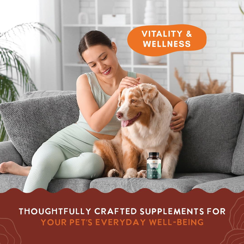 Ohana K9 Immunity, Dog Supplements, Contains 6 USDA Organic Mushroom Extracts for Dog Care, Non-GMO, Gluten-Free, 90-Capsule Bottle, Pack of 1 K9 Immunity Capsules 90 Count (Pack of 1)