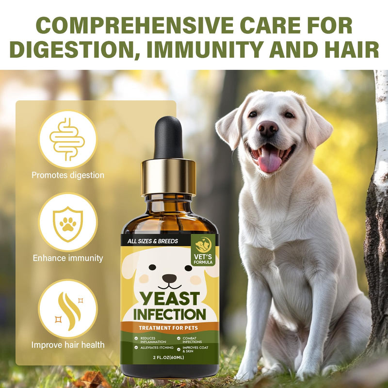 Yeast Infection Treatment for Dogs, Dog Ear Infection Treatment with Natural Ingredients, Gentle Care, Improves Skin Problems, Relief Drop for Itchy Skin for Dogs & Cats, 60ML