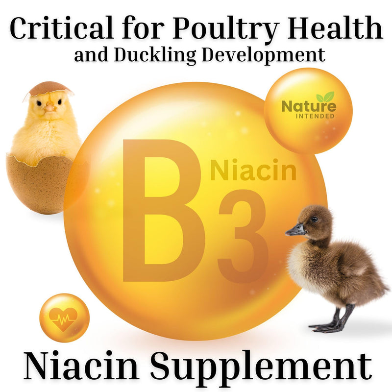 Brewer's Yeast + Probiotics + Niacin + Vitamins Supplement for Ducks, Chickens and Poultry. (Molt Recovery, Severe Stress, Egg Quality and Development) 10-Ounce Resealable Foil-Lined Pouch 10 ounce
