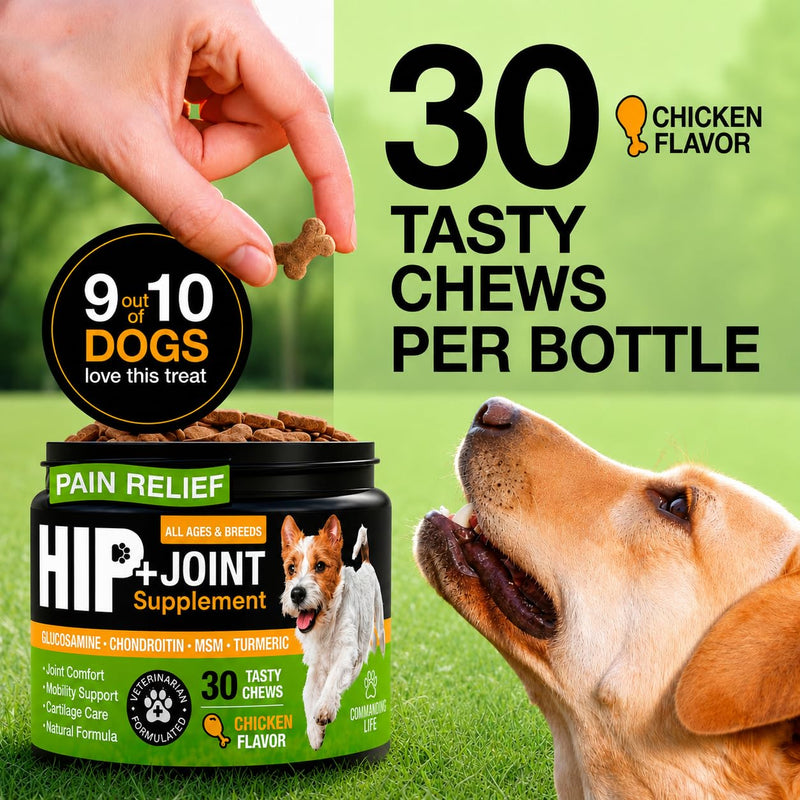 Glucosamine for Dogs – Hip and Joint Supplement Chews for Small, Medium & Large Dogs – Joint Pain & Mobility Support – Soft Chews for Pain and Inflammation Relief, 30 Chews