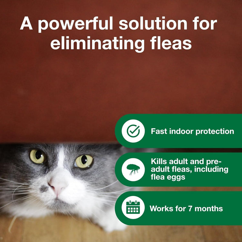 Bundle of Advantage Topical Cat Flea Treatment and Prevention for Small Cats 2-9 lbs. + Advantage Household Fogger for Home | 2 oz. Canisters (Pack of 3) Small Cat + Fogger
