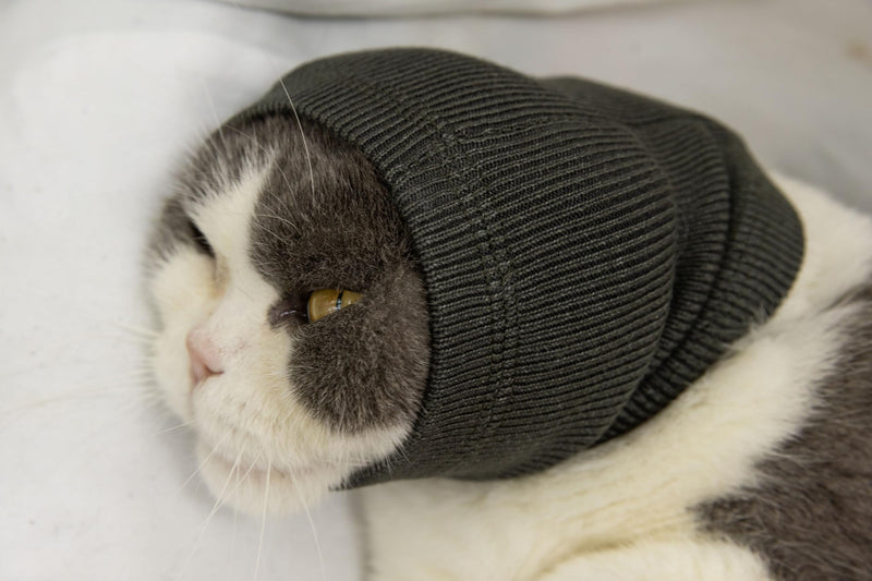 Cat Snood Ear Muffs,Calm Head Covers Blow Drying-Anxiety & Stress Relief - Cat Ear Wrap Injury Grey S Small