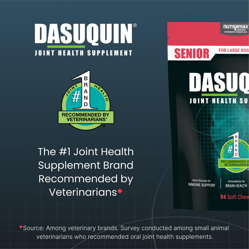 Nutramax Dasuquin Joint Health Supplement for Large Senior Dogs – for Immune Support, Skin & Coat Health, and Brain Health, 84 Soft Chews Large Dog - PawsPlanet Australia