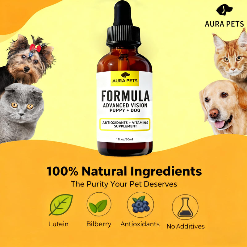 Advanced Vision Formula for Dogs, AuraPets Vision Formula, with Lutein, Zeaxanthin, Astaxanthin, Supports Vision and Reduces Cloudiness, 30ml (1)