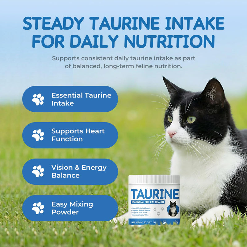 Taurine Powder Supplement for Cats, Daily Amino Acid Support for Heart Function, Vision & Feline Metabolism, Cat Supplement for Balanced Nutrition (60 g) 60 g