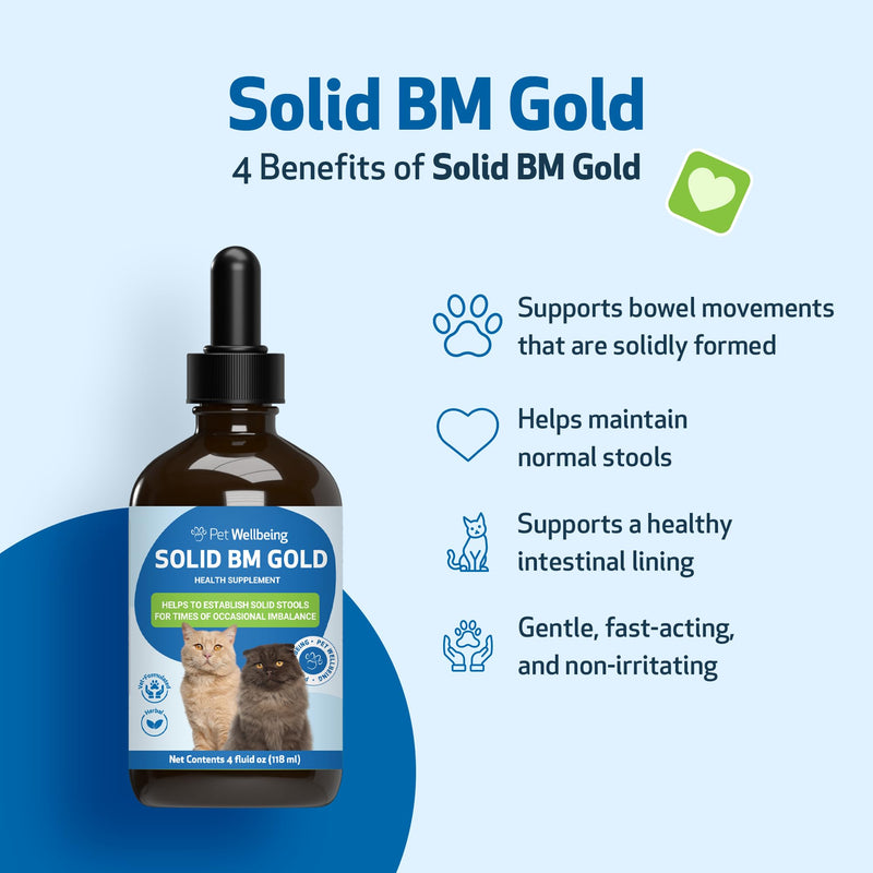 Pet Wellbeing Solid BM Gold for Cats - Supports Healthy Digestive Function, Solid Stools, Bayberry, Oregon Grape - Veterinarian-Formulated Herbal Supplement 4 oz (118 ml) (4 fl oz (118 ml)) 4 fl oz (118 ml)