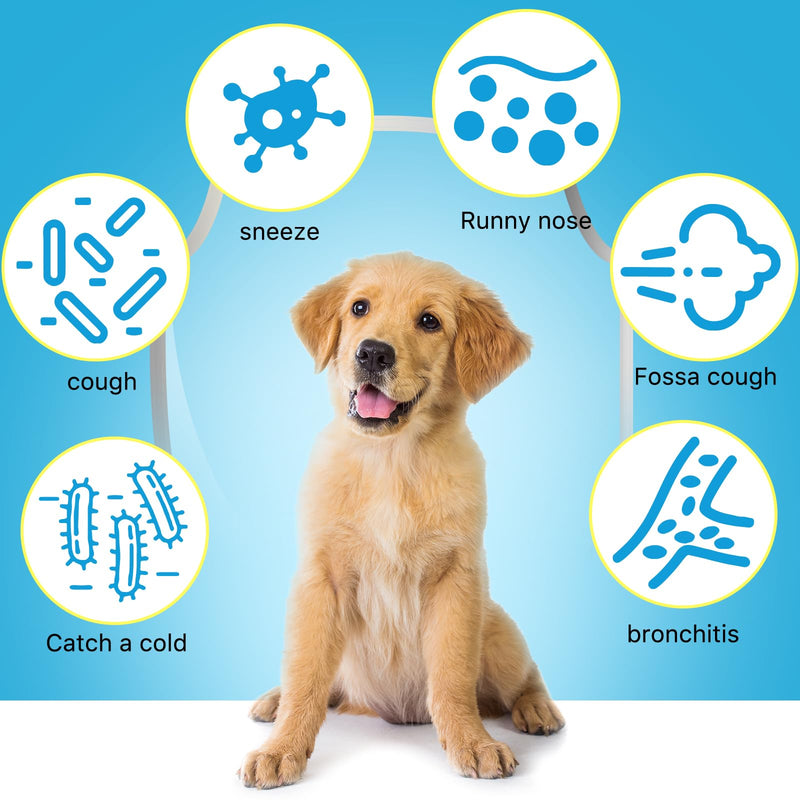 Kennel Cough Treatment for Dogs, Kennel Cough Herbal Drops, Dog Cough Relief - Dog Seasonal Allergy Relief, Dog Itch Relief, Support Dog Cough Care About Dry, Pet Cough Relief - 2.02 Fl.oz / 60 ml Bacon Flavor - PawsPlanet Australia
