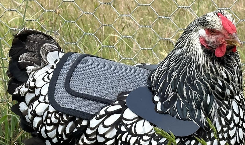 DOWN UNDER OUTDOORS 2 Pack Small Chicken Saddles for Bantams and Young Birds, Includes Shoulder Covers (Grey Mesh) grey mesh
