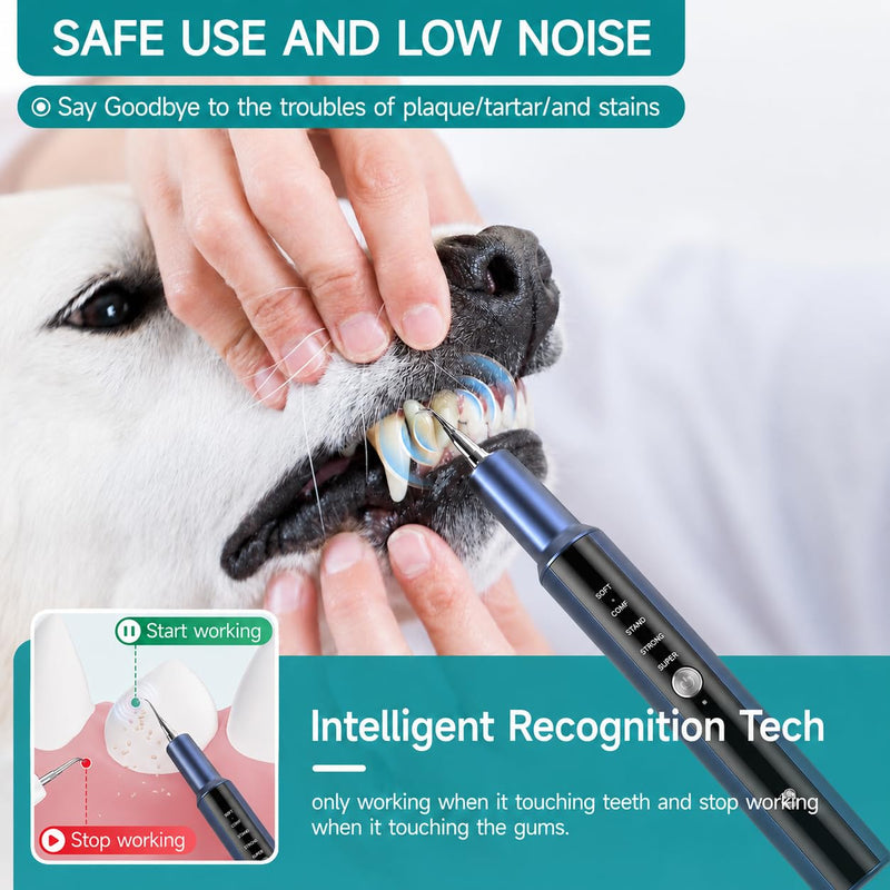 Dog Teeth Cleaning Kit with LED Light 5 Adjustable Modes Electric Pet Tartar Plaque Remover Tooth Cleaner for Dogs and Cats Home Dental Care Blue