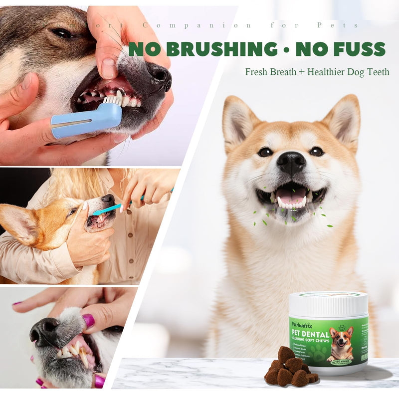 36g Turkey Tail Mushroom for Dogs and 150PCS Dog Teeth Cleaning Chews