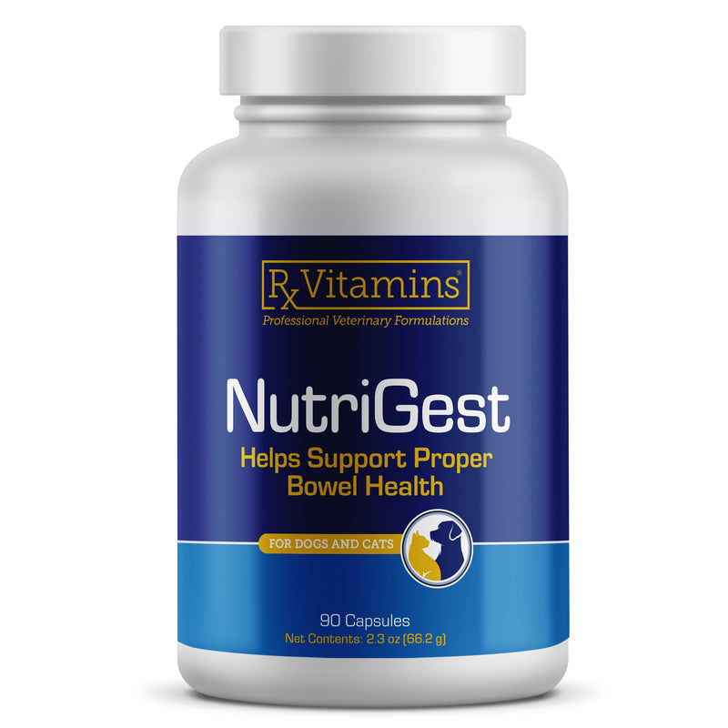 Rx Vitamins NutriGest Capsules for Cats & Dogs - Probiotics for Digestive Health Enhanced with Glucosamine for Gut Health Support - Helps with Constipation Relief and Anti Diarrhea - 90 Capsules New Label
