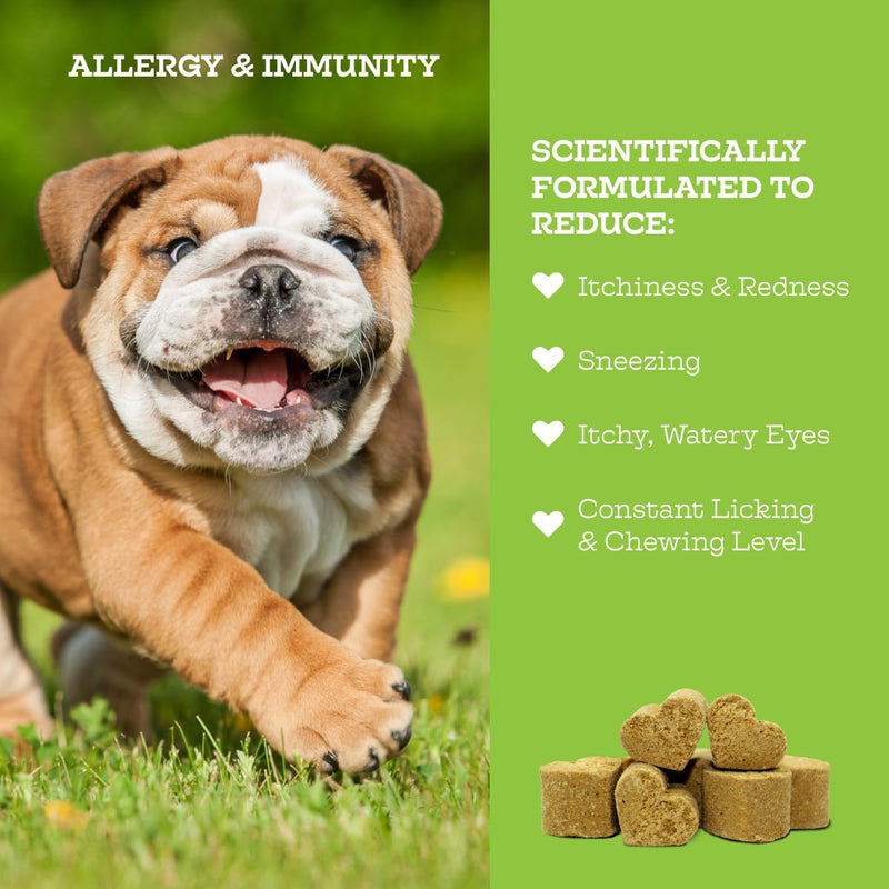 Moe’s Allergy and Immune Support for Dogs- Supports Anti-Itch, Seasonal Allergies- Omega 3 Wild Alaskan Salmon Fish Oil- Dog Allergy Treatment, Skin Health- Made in USA- 90 Chews (Peanut Butter) Peanut Butter - PawsPlanet Australia