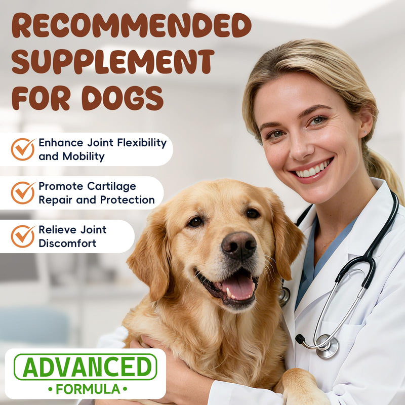 Glucosamine for Dogs Hip and Joint Supplement 200 PCS Glucosamine Chondroitin MSM for Dogs Hip & Joint Pain Relief Mobility Support for All Small Medium Large Breeds Chicken Flavor