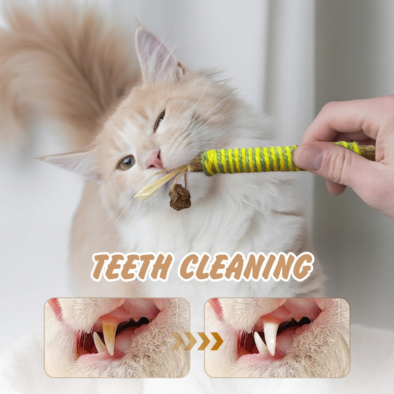 Quacc 4 PCS Silvervine Chew Sticks Natural Silver Vine Sticks Cat Dental Treat Toy for Teeth Cleaning Calm Cat Anxiety Stress