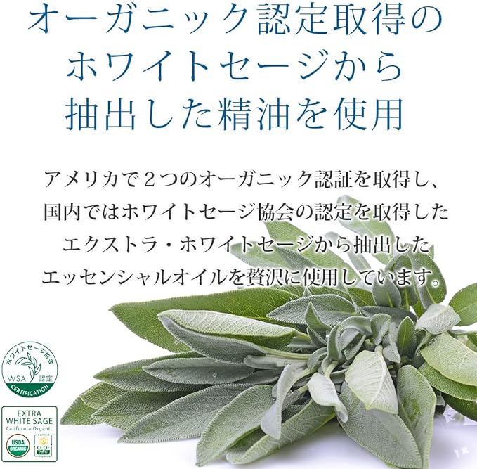 LUCAS White Sage Purifying Spray, Lucas/Smudging, Cleanser, Yoga and Meditation, SBNR White Sage, (Crystal: Purifying, Clear / White Sage Scent, 0.7 fl oz (20 ml), For on the Go) - NewNest Australia