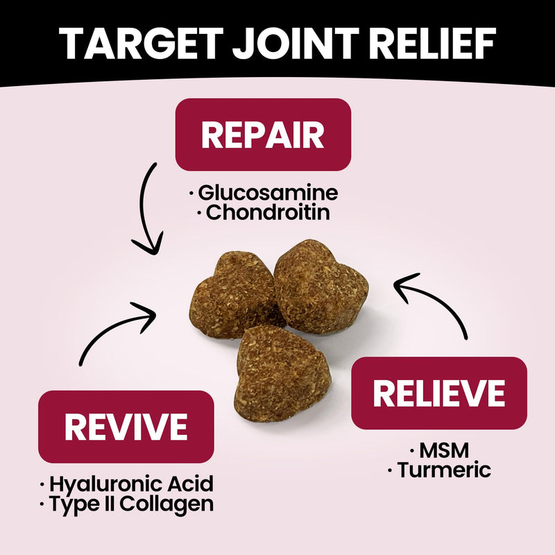Glucosamine for Dogs Hip and Joint Supplement Chews & Probiotics for Dogs - Dog Probiotics with 5 Enzymes & 4 Prebiotics
