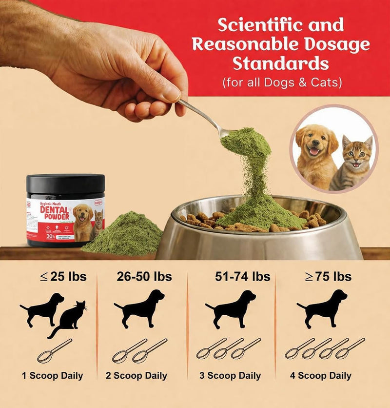 Dog Dental Powder | Natural Teeth Cleaning for Dogs & Cats | Pet Breath Freshener Food Topper with Enzymes | Helps Support Clean Teeth & Fresh Breath | Mint Flavor, 2 Pack (Up to 60-Day Supply)