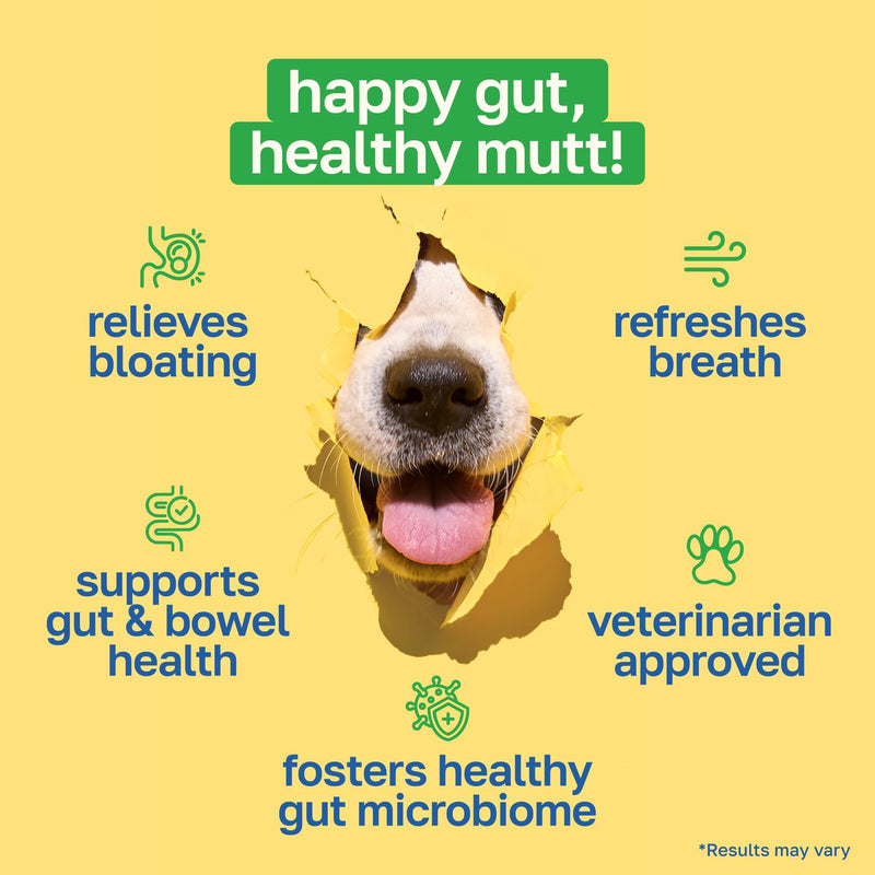 Happy Paws Probiotics for Dogs, Gut Health, Skin, Coat & Immune Support Supplement for All Breeds & Ages, Made with Coconut Oil & Vitamin E, Vegan Chicken Flavor, Organic, Non GMO, 100 Soft Chews 100 Count