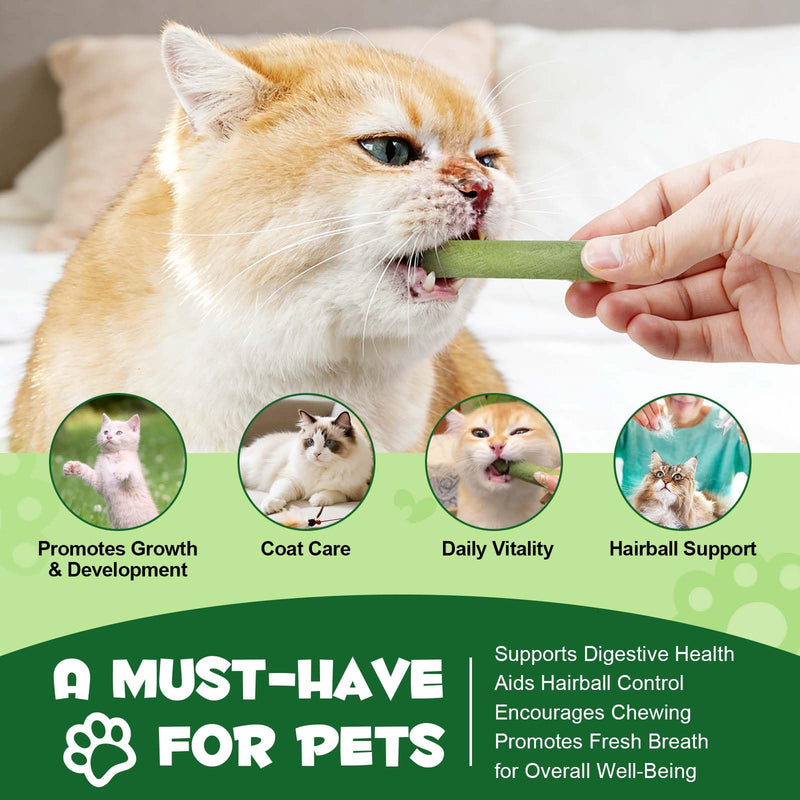 Cat Grass Treats & Cat Dental Treats for Indoor Cats, Made with Feline Grass & Chicken Breast, Healthy Temptation Cats Treat for Training, Snacking & Dental Care, Natural Kitten & Adult Kitty Biscuits