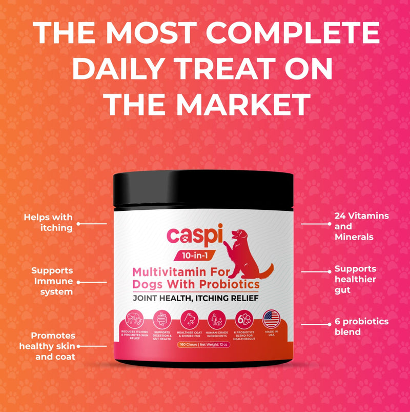 Caspi 10-in-1 Dog Multivitamin with Probiotics – Joint Health, Itching & Skin Relief, Omega-3 Salmon Oil, Glucosamine, Vitamins & Minerals – Daily Chew Supplement for Dogs – 160 Soft Chews