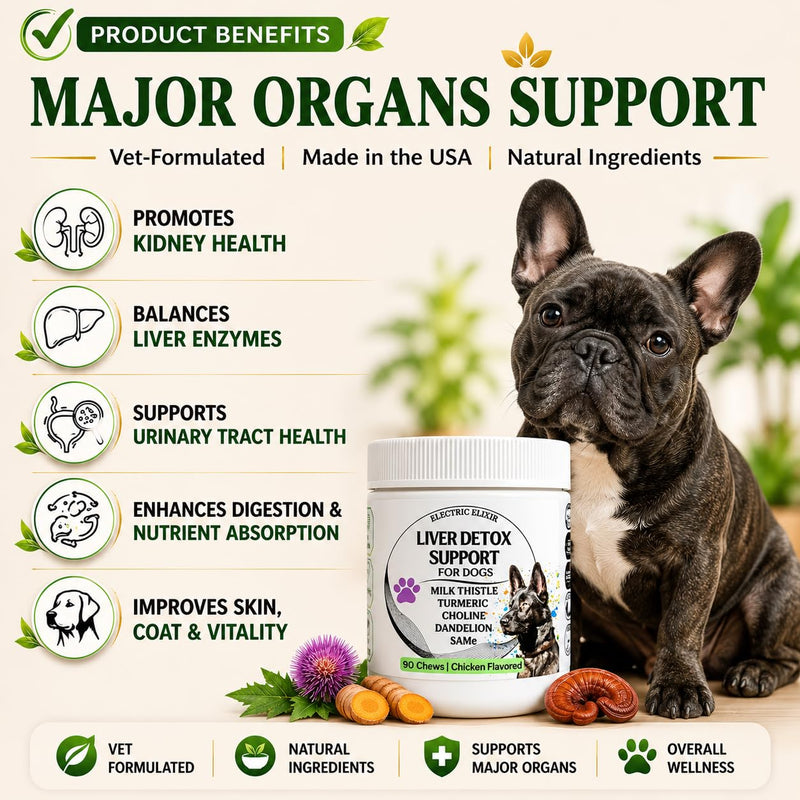 Advanced Liver Support Supplement for Dogs – Milk Thistle, Turmeric, Same & Choline – Liver Detox, Kidney Support, Immunity & Metabolic Boost – Organic Ingredients, Natural Chicken Flavor – 90 Chews Liver Detox Support