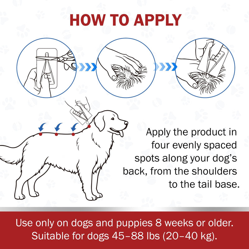 Flea and Tick Prevention for Dogs, 6-Month Supply, Large Dog Flea, Tick & Mosquito Control, Repellent, 44–88 lbs, 24-Hour Protect, Flea Supplements for Dogs