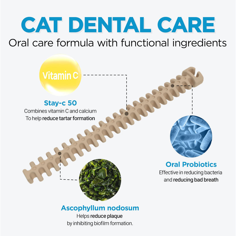 CATZZLE Cat Treats, Dental Chews for Indoor Cats, Cat Teeth Cleaning, Dental Care Snacks - Hairball Control (Salmon Flavor), 5 Sticks (1.25 oz.) Salmon 1.25 Ounce (Pack of 1)