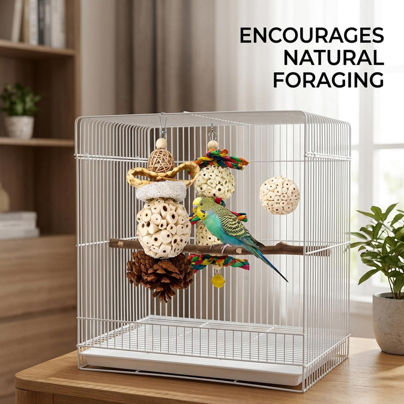 4PCS Sola Balls for Birds, Bird Sola Balls Set of Four, Interactive Bird for Parrots and Small Birds, Suitable for Parrots and Birds to Use
