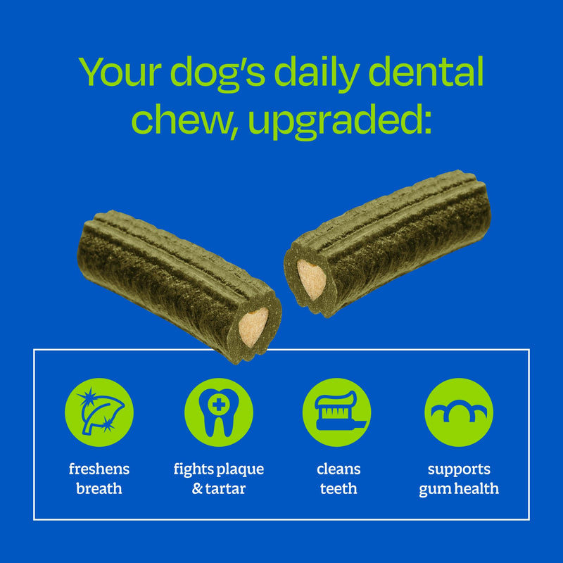 Ark Naturals Small Breed Brushless Toothpaste + Breath Bursts Bundle - Vet Formulated Dog Dental Chews for Small Breeds - Helps Reduce Plaque & Tartar, Polishes Teeth, and Freshens Breath