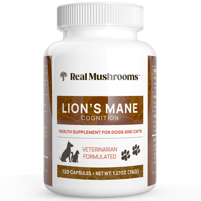 Real Mushrooms Lion’s Mane Pet Mushroom Supplement – Pet Wellbeing Capsules – for Cat & Dog Supplement & Vitamins – Support Mindful Routines – Organic, Vegan, Non-GMO, 120 Count Capsule
