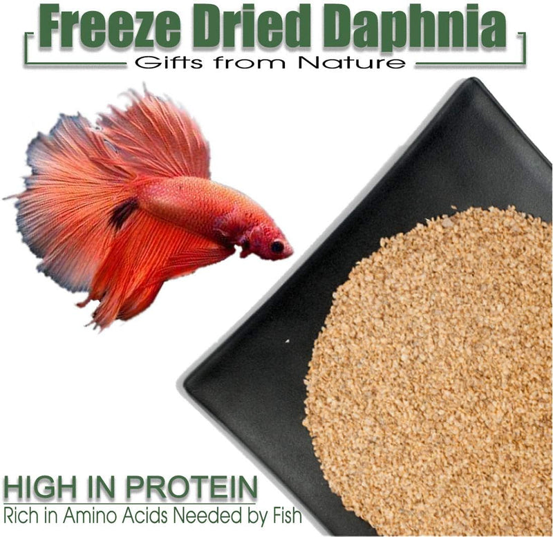 Freeze Dried Daphnia 2-Ounce (Water Flea) Fish Food Aquarium Zooplankton Shrimp Tiny Fish, Babies, Corals, Betta, Neon, Guppy, Cichlid, Catfish And All Tropical Fish - PawsPlanet Australia