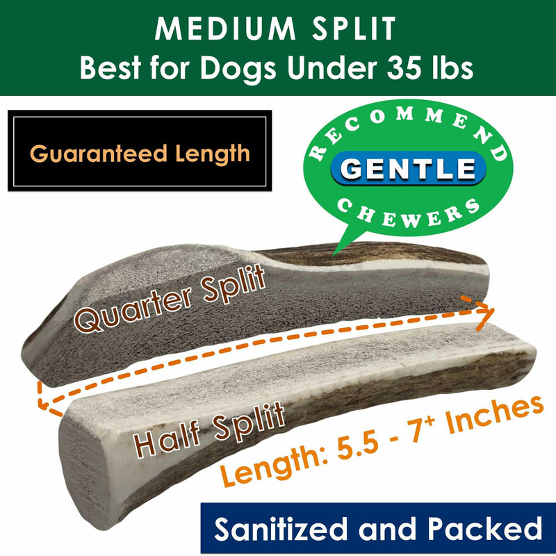 4 Medium Split Elk Antler Dog Chews and Omega 3 Fish Oil Bundle for Dogs Supporting Chewing Coat and Joint Health