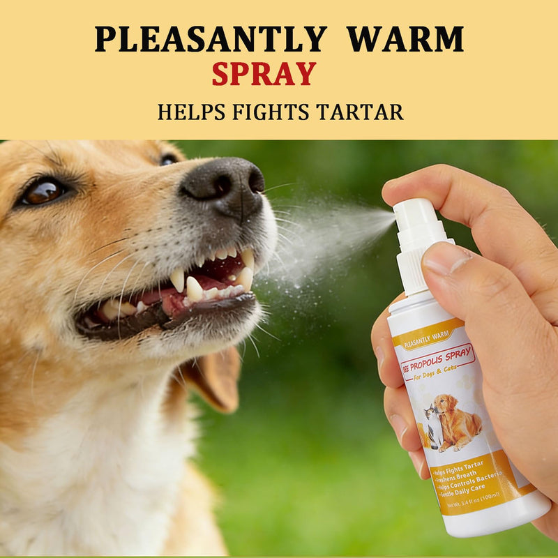 Bee Propolis Spray for Dogs & Cats, 3.4 fl oz - Breath Freshener, Gum Health Support, Dental Care，Gums Health ，Natural Plant-Based Active Formula ﻿