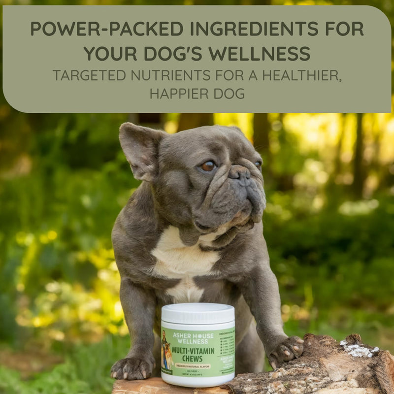 Asher House Wellness Dog Multivitamin Chews - Dog Vitamins and Supplements, Soft Chew for Pet Dogs with Probiotics, Flaxseed, Colostrum - Comprehensive Health Support from Puppy to Senior, 120 Chews - PawsPlanet Australia