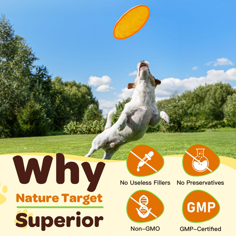 Glucosamine for Dogs - Joint Supplement for Dogs, Chondroitin, MSM, Turmeric, Omega 3 for Dogs, Support Hip and Joint Mobility - Dog Joint Pain Relief, Dog Joint Supplement Large Breed, 9.52 Oz 90 Scoops - PawsPlanet Australia