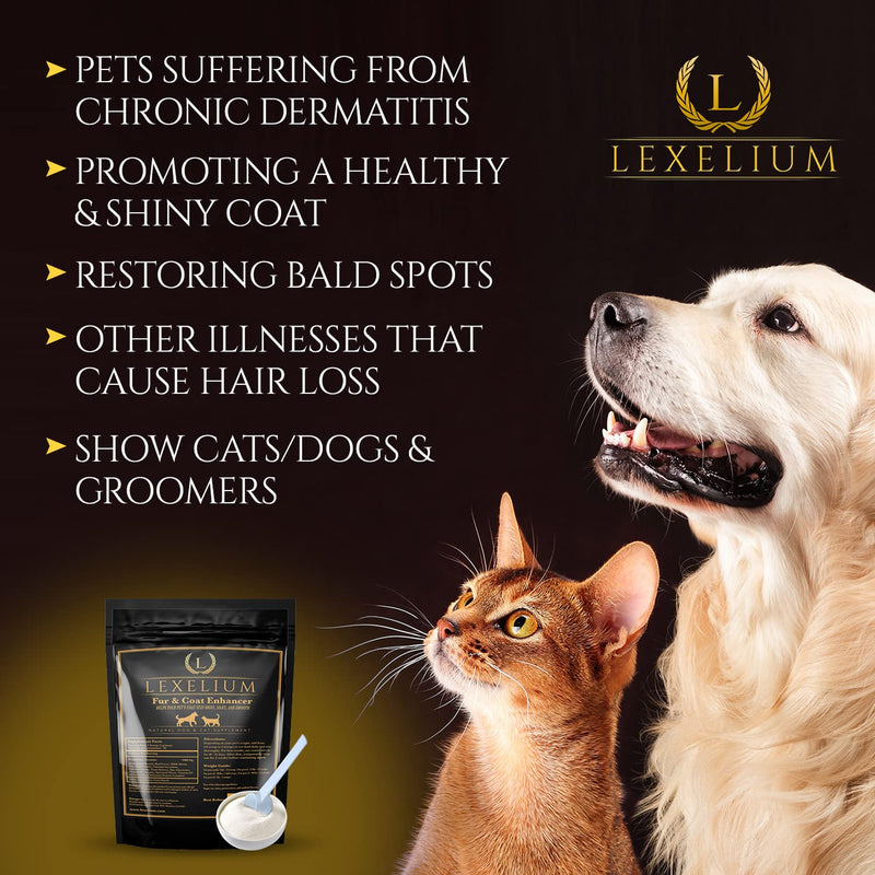 Dermatitis Skin and Coat Supplement for Dogs and Cats - Promotes Healthy Skin and Fur for Dogs and Cats - Helps w/Itch, Dry Skin + Other Symptom - Natural Vet-Approved Powder Formula - 200G - PawsPlanet Australia