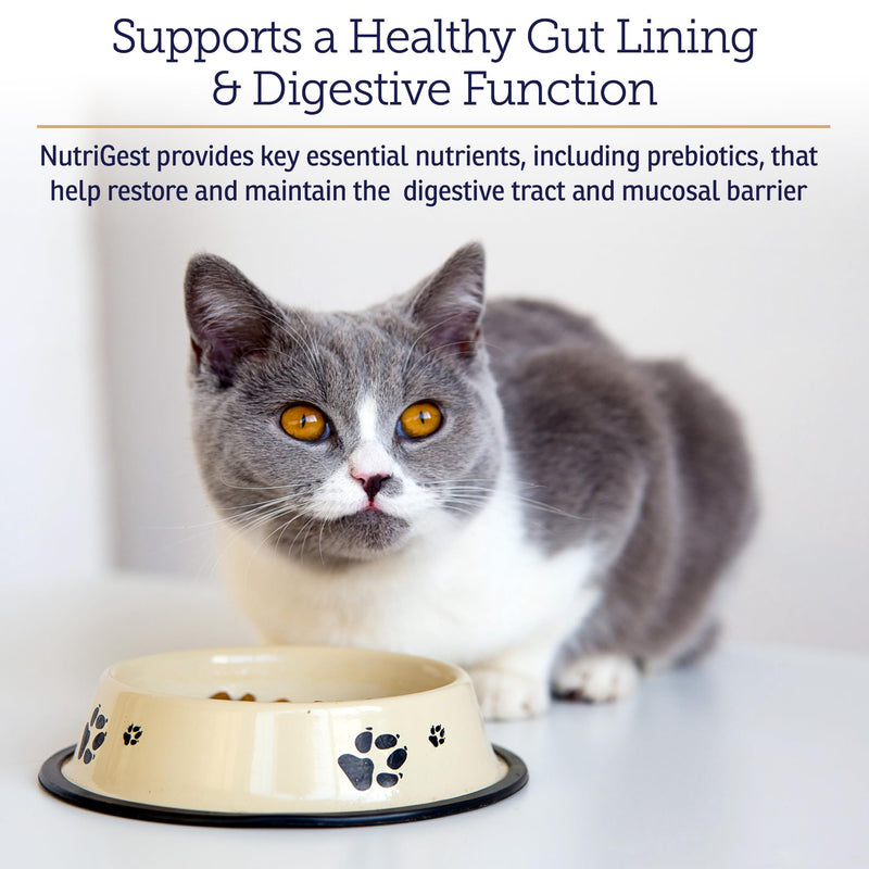 Rx Vitamins NutriGest Capsules for Cats & Dogs - Probiotics for Digestive Health Enhanced with Glucosamine for Gut Health Support - Helps with Constipation Relief and Anti Diarrhea - 90 Capsules New Label