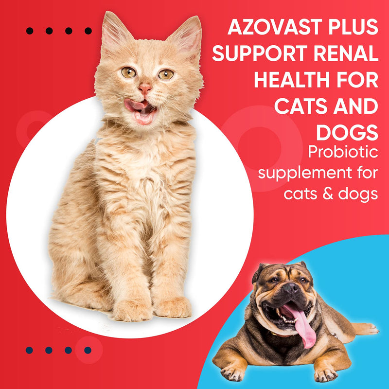 Azovast Plus Kidney Health Supplement for Dogs & Cats, Oral Powder (6 Oz) - (120 Doses/ Jar) NO Refrigeration Required - Help Support Kidney Function & Manage Renal Toxins (Made in U.S.A) - PawsPlanet Australia