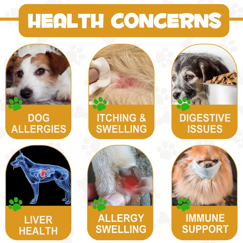 Allergy Relief Drops for Dogs - Allergy and Immune - Immune Support Supplement - Dog Supplement - Natural Pet Supplement for Dog Allergy Relief with Turmeric & Milk Thistle - PawsPlanet Australia