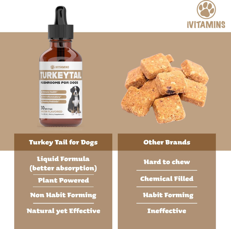 Turkey Tail Mushroom for Dogs | Helps to Boost The Immune System, is a Healthy Prebiotic, & Much More | Turkey Tail for Dogs | Mushrooms for Dogs | Dog Mushroom Supplements | 1 fl oz