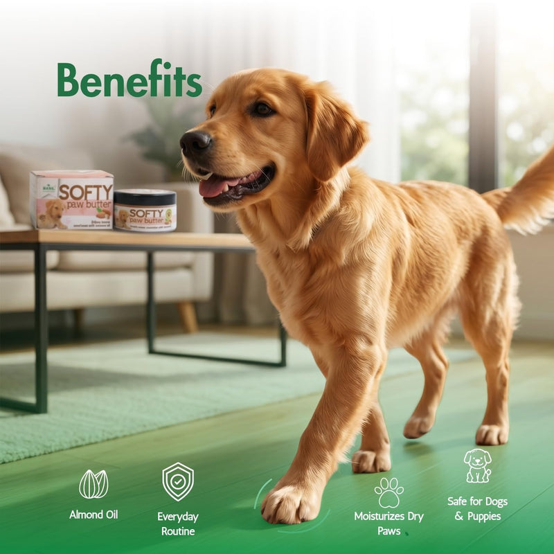 BASIL Dog Paw & Nose Balm Butter Cream with Almond Oil - Moisturizing Balm for Dry, Cracked Paws & Elbows | Gentle Care for Dogs & Puppies (50g / 1.75 oz)