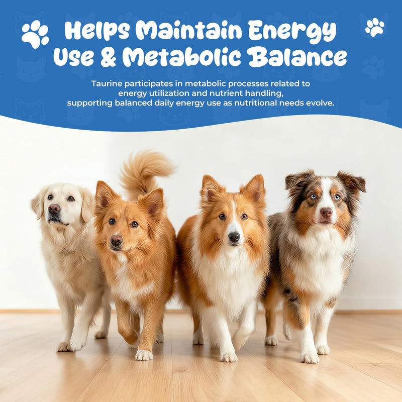 Taurine Liquid Supplement for Dogs, Daily Amino Acid Drops Supporting Heart & Muscle Function, Energy Balance & Physical Stability, 60 ml 60 ml (Pack of 2)