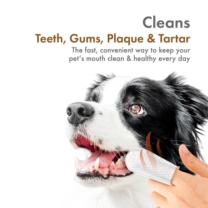 Petkin Fingertip Tooth Wipes for Dogs and Cats, 50 Finger Wipes - Slip-On, Snug Fit, Micro-Bristle Fabric - Cleans Teeth, Gums, Plaque & Tartar - Convenient, Ideal for Home and Travel - Peanut Butter 50ct - PawsPlanet Australia