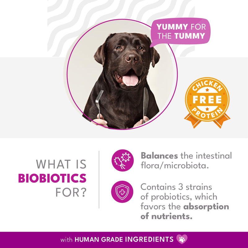 Biobiotics Digestive Support Supplement for Cats & Dogs - Chicken & Herb Flavor - 30 Sachets for Digestive Wellness