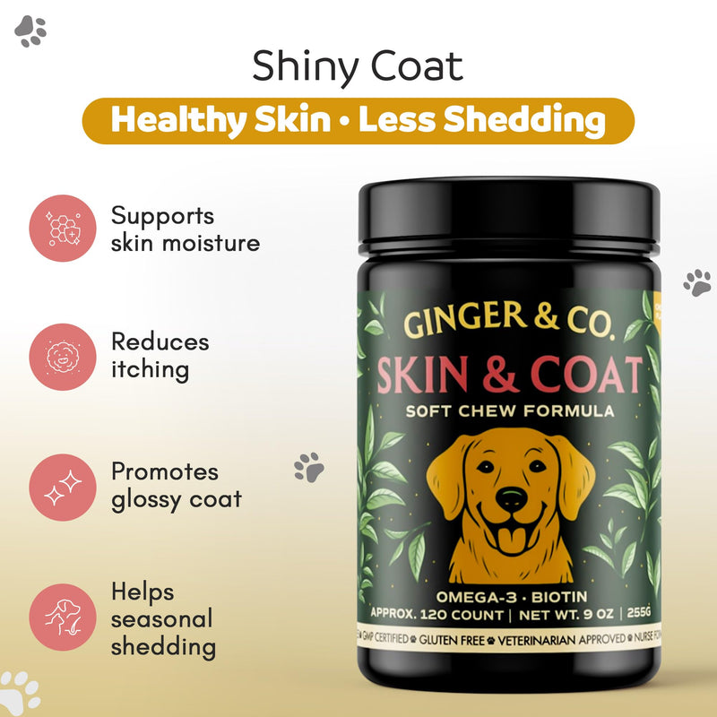 GINGER & CO. Skin & Coat Support Chews for Dogs – Omega 3 & Salmon Oil 120CT