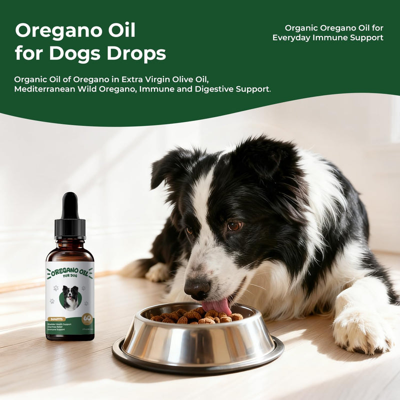 Oregano Oil for Dogs Drops, Organic Oil of Oregano in Extra Virgin Olive Oil, Mediterranean Wild Oregano, Immune and Digestive Support, Easy-to-Use Dropper, 2 fl oz