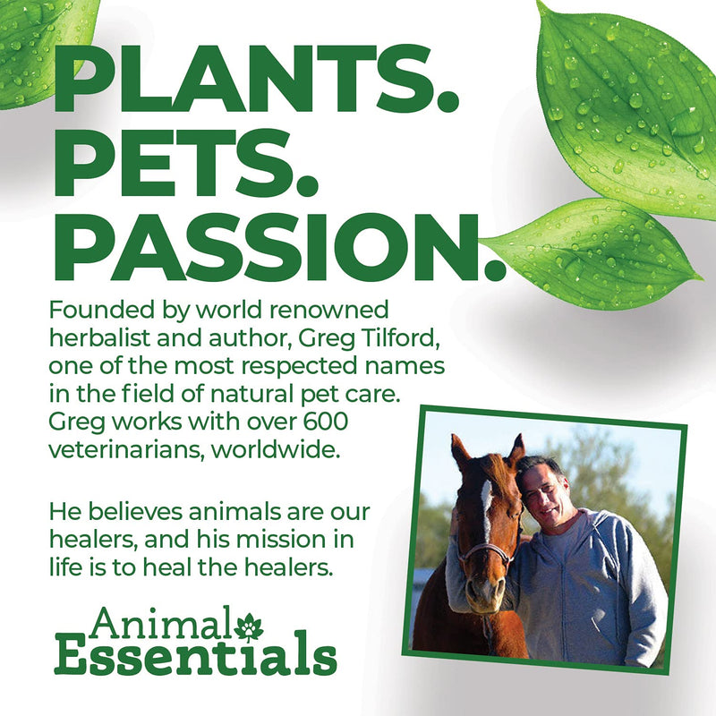 Animal Essentials Tinkle Tonic Herbal Formula for Healthy Urinary Tract in Dogs & Cats, 1 fl oz - Made in the USA, Alcohol Free - PawsPlanet Australia