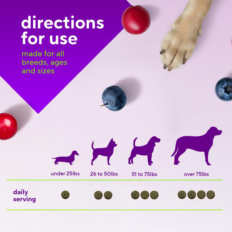 VitaFusion Probiotics for Dogs, Gut & Digestive Health Support with Colostrum & Quercetin, Immune & Seasonal Allergy Support, Superfood Vitality Blend, Beef Flavor120 Soft Chews. Probiotics and Immunity Support